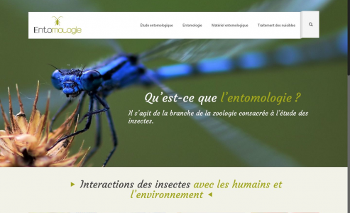 https://www.entomologie.fr